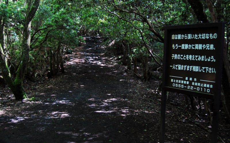 Hutan aokigahara